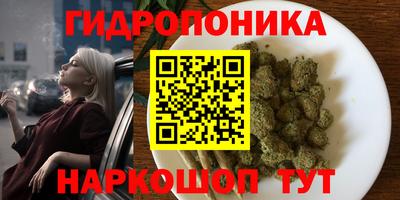 MDMA Камышлов