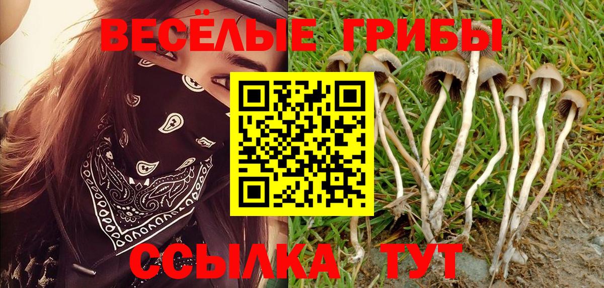 дарнет шоп  Псилоцибиновые грибы Cubensis  Вход с VPN  Энгельс 