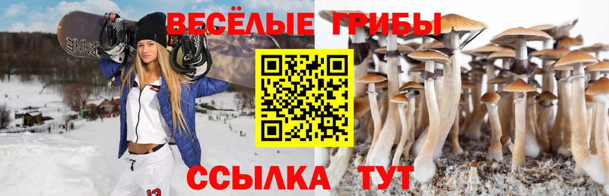 Псилоцибиновые грибы мухоморы Энгельс